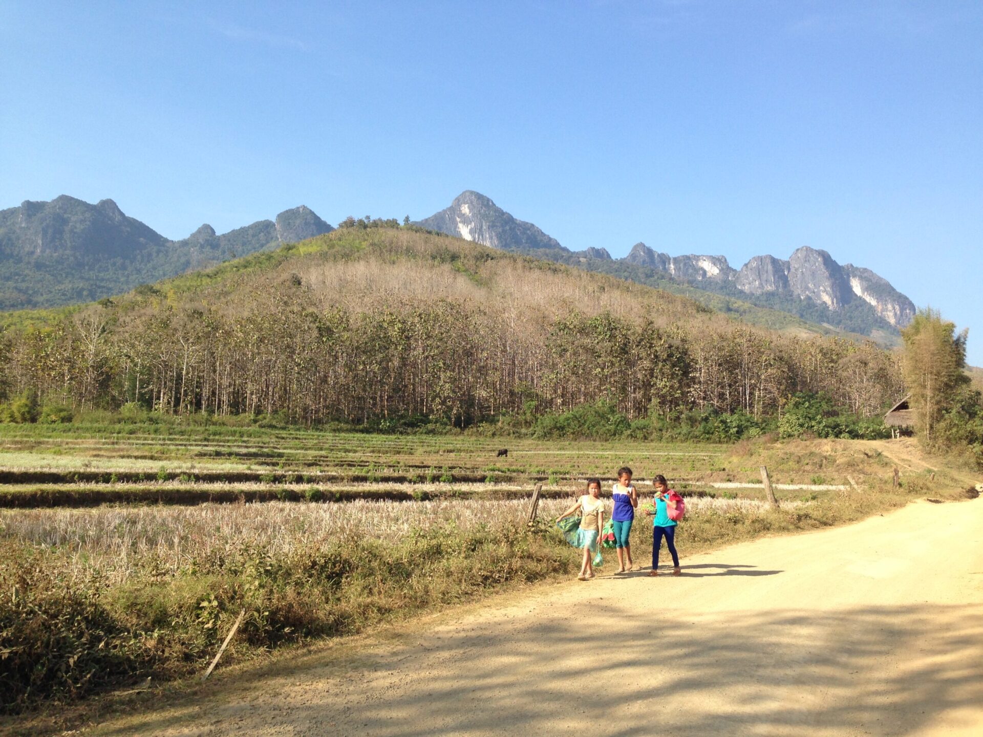 あぜ道を歩く子供たち