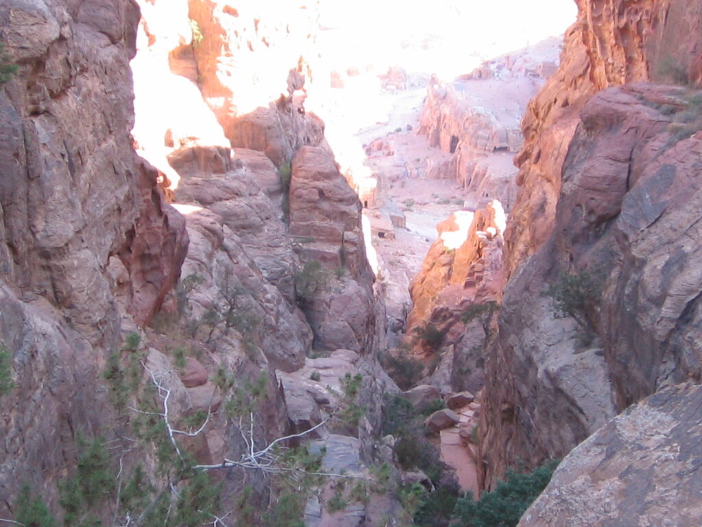 高台からの景色